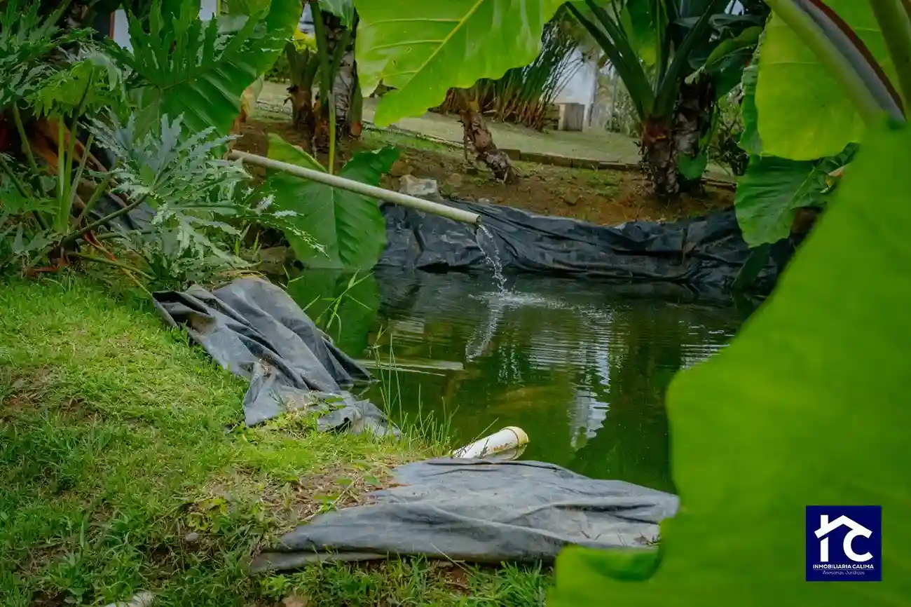 Finca Las Aguas